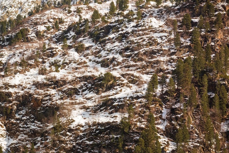 Untouched Wilderness